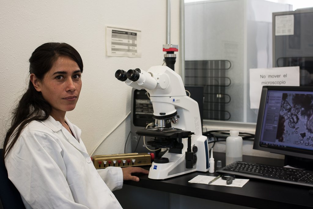 Misión del ICAyCC